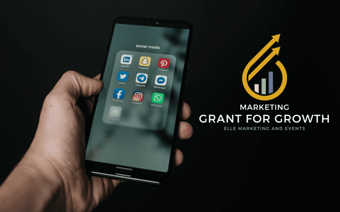 Marketing Grant for Growth Re-Launches with $20,000 Worth of Marketing Services