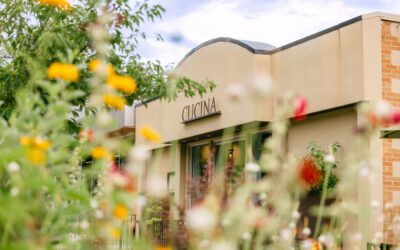 Elle Marketing and Events Launches New Website for Cucina Wine Bar, Showcasing Modern Design and Community-Focused Features