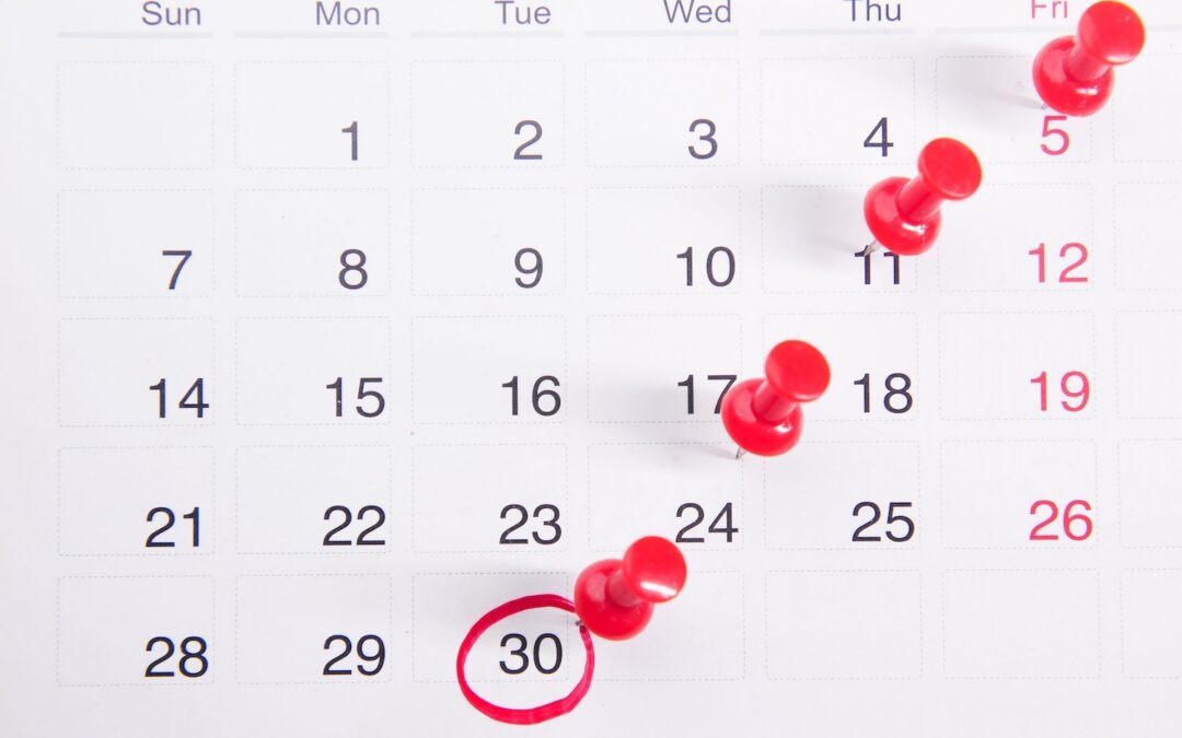 Q4 Marketing Planning: What to Do Now So You’re Not Scrambling in October
